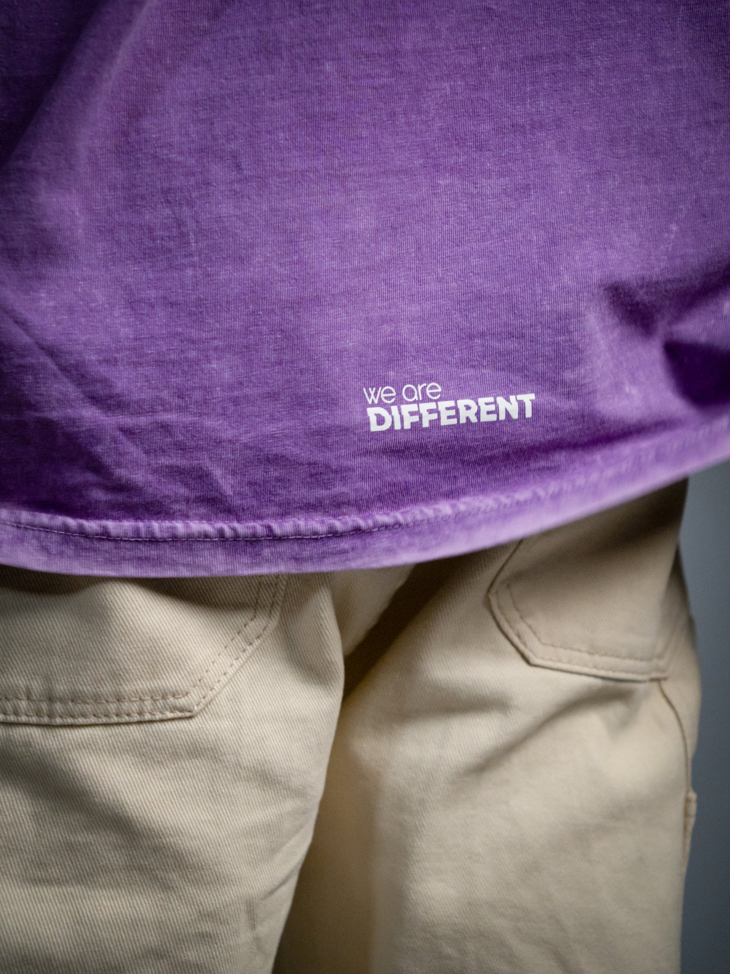 Camiseta regular we're different