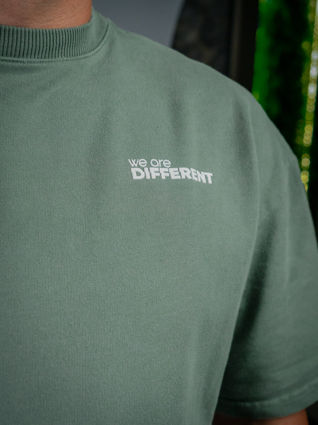 Camiseta regular we're different