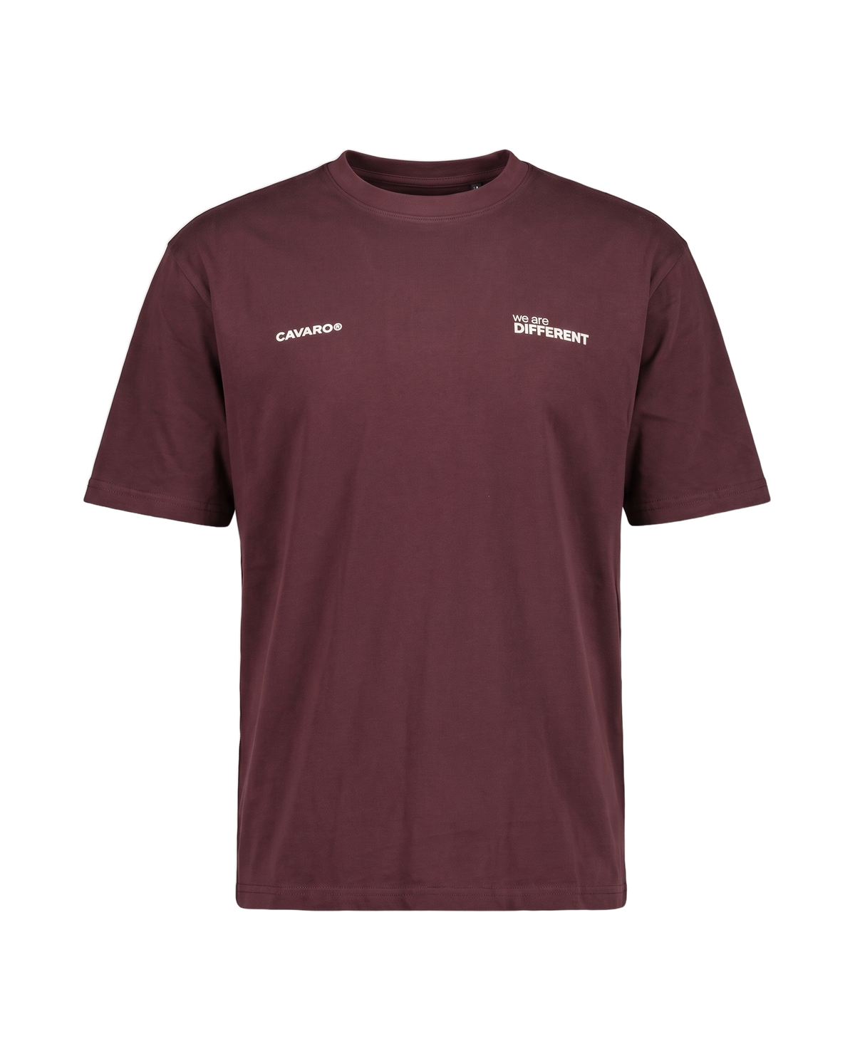 Camiseta regular we're different