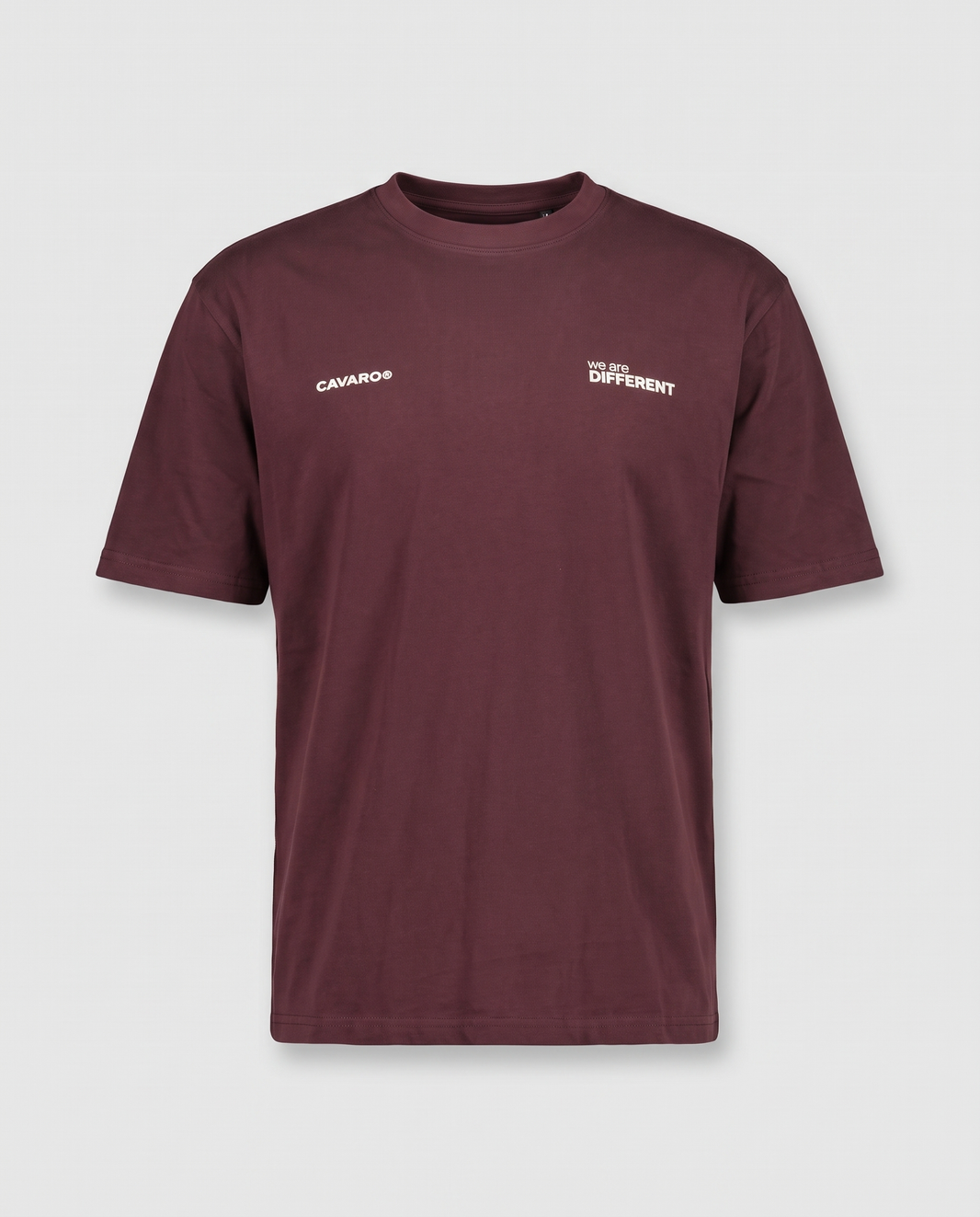 Camiseta regular we're different